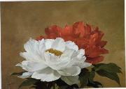unknow artist Still life floral, all kinds of reality flowers oil painting 34 Spain oil painting artist